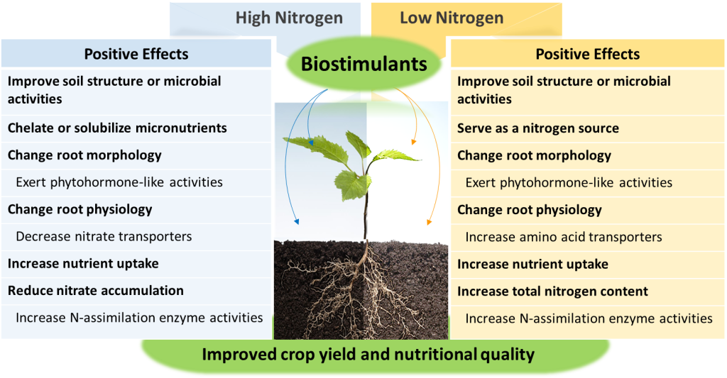 Biostimulants as a safeguard to plants against poor nitrogen supply ...